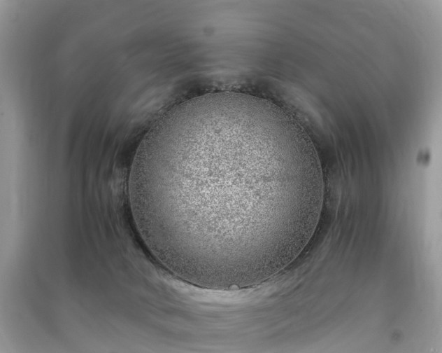 X0000091010034200708091611