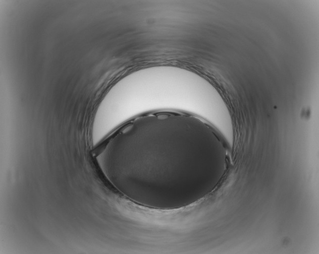 X0000091010035200708091611