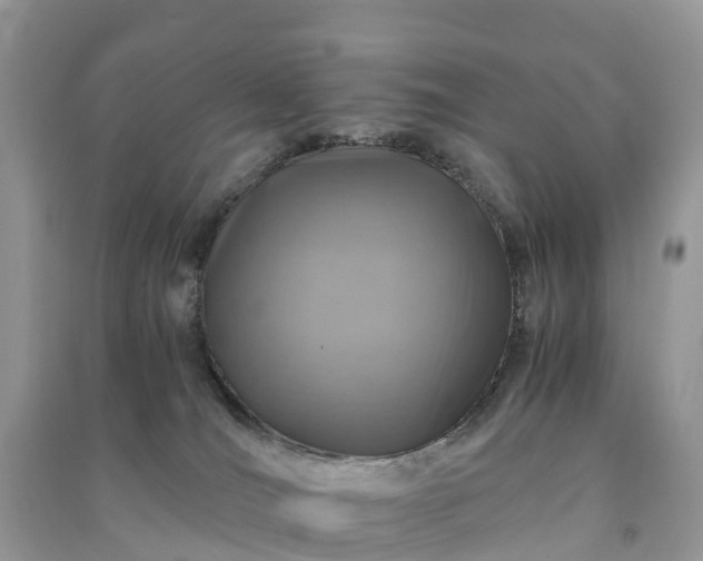 X0000091010036200708091611