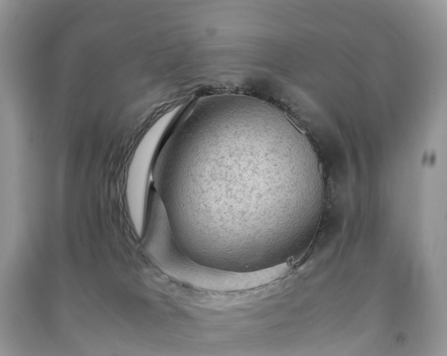 X0000091010037200708091611