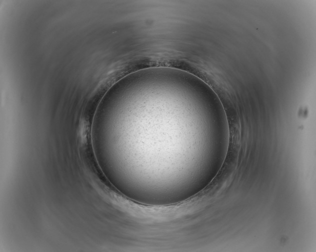X0000091010038200708091611