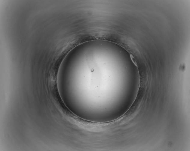 X0000091010040200708091611