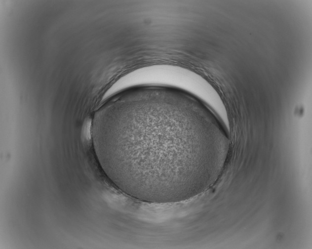 X0000091010041200708091611