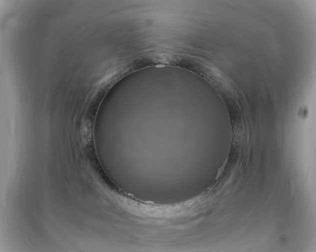 X0000091010043200708091611