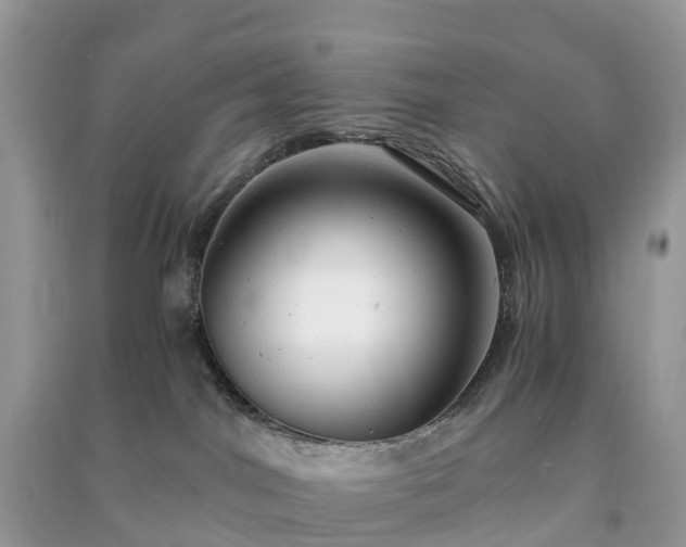 X0000091010044200708091611
