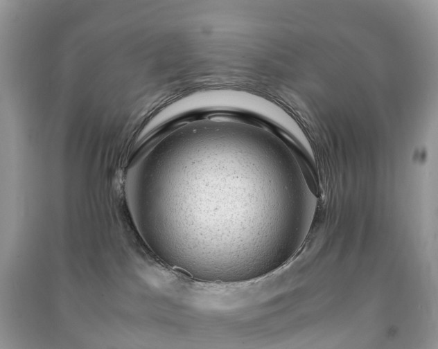 X0000091010045200708091611