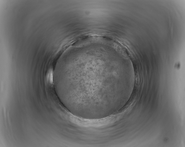X0000091010046200708091611