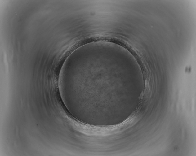 X0000091010048200708091611