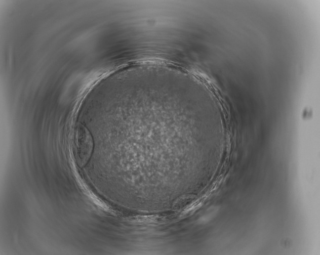 X0000091010049200708091610