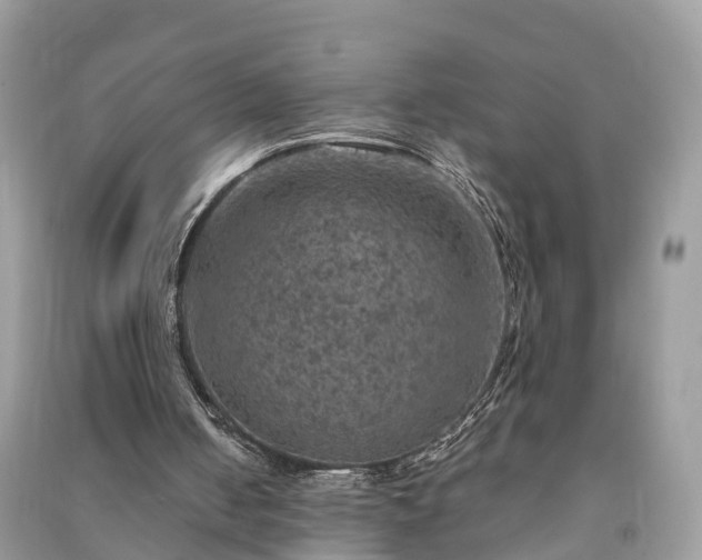 X0000091010050200708091610