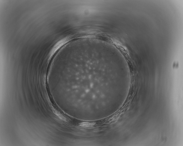 X0000091010051200708091610