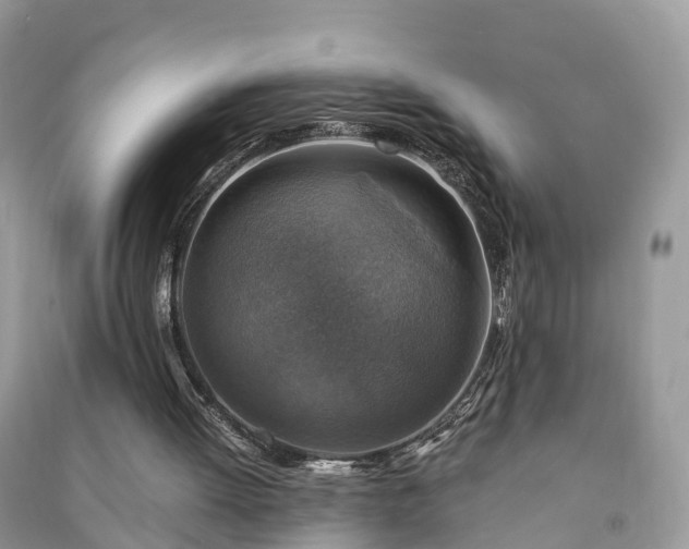 X0000091010052200708091610