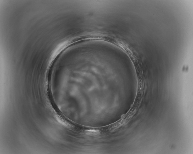 X0000091010053200708091610