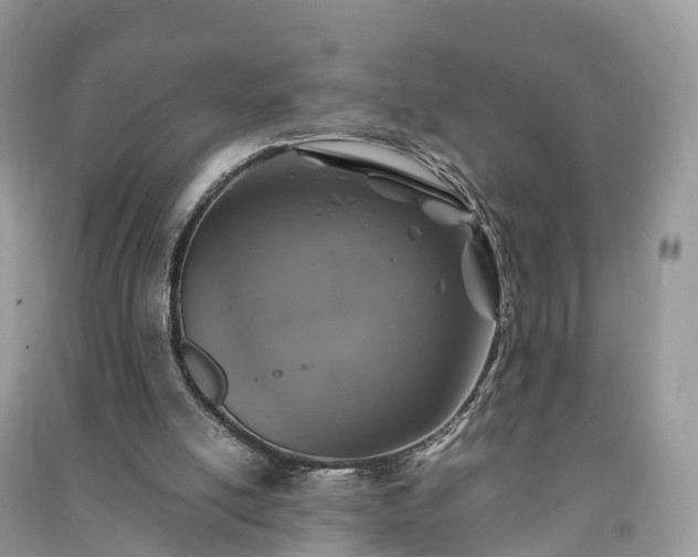 X0000091010054200708091610