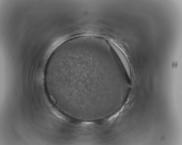 X0000091010055200708091610