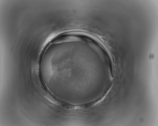 X0000091010056200708091610