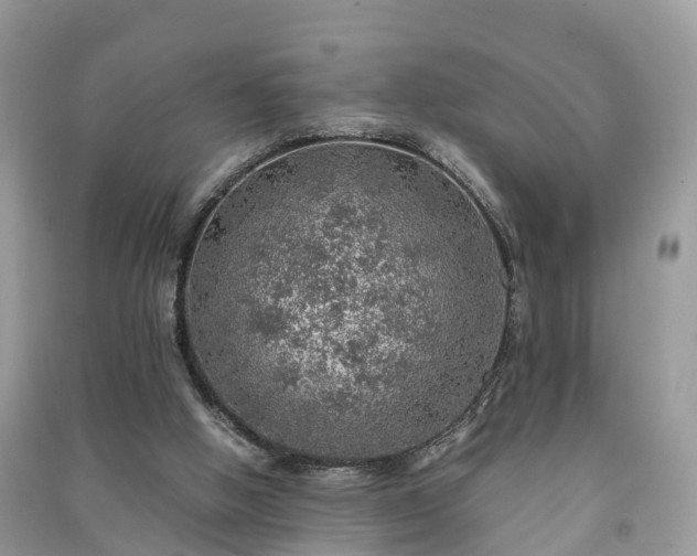 X0000091010058200708091610