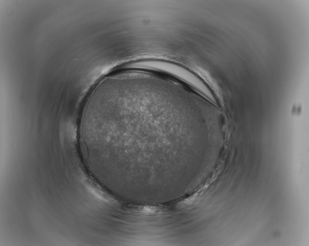 X0000091010060200708091610