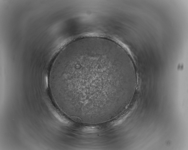 X0000091010061200708091610