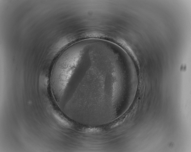X0000091010063200708091610
