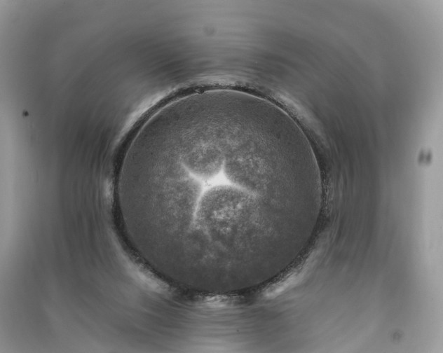 X0000091010064200708091610