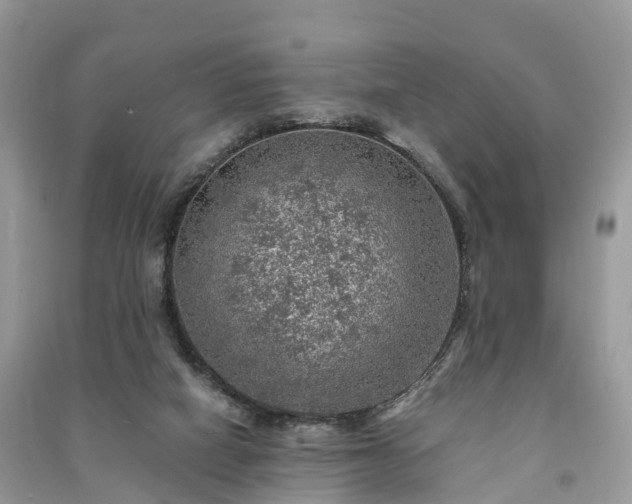 X0000091010066200708091610