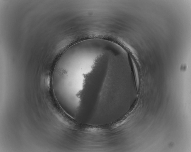 X0000091010067200708091610