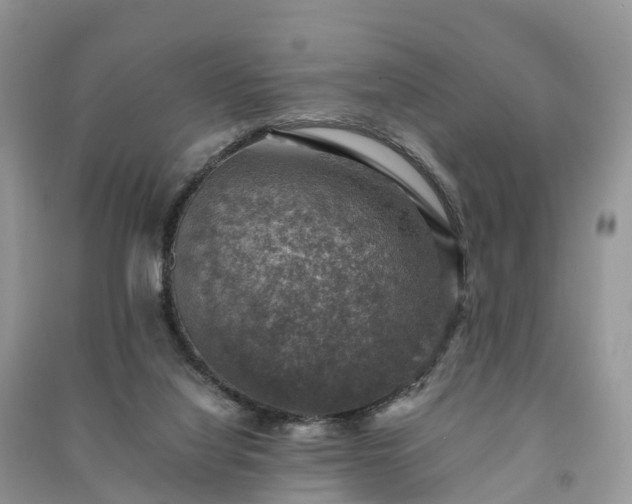 X0000091010068200708091610