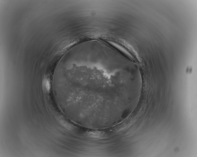 X0000091010069200708091610