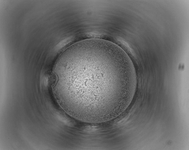 X0000091010071200708091610