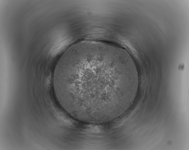 X0000091010073200708091610