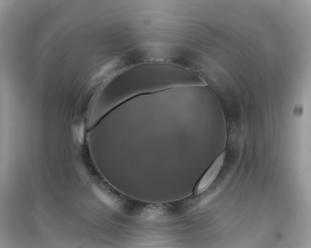 X0000091010076200708091610