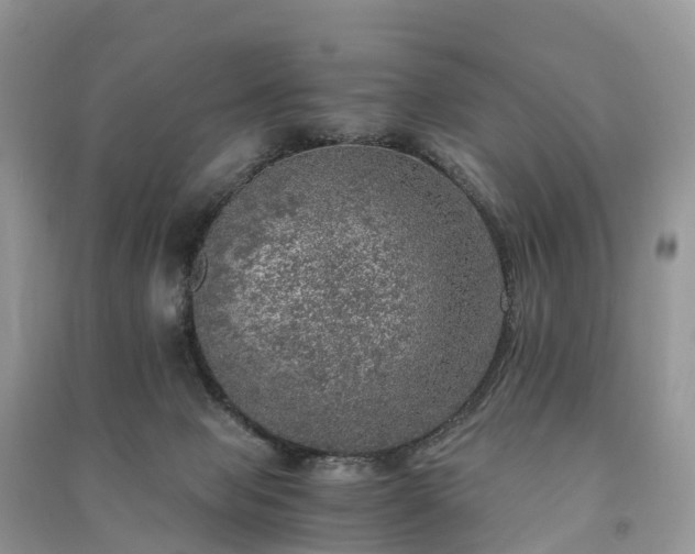 X0000091010077200708091610