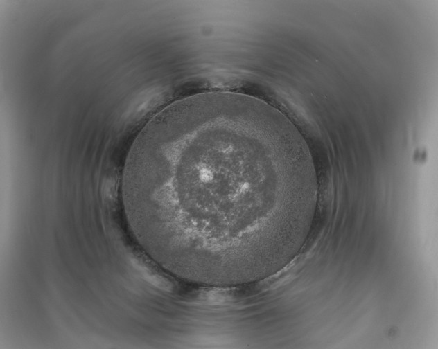 X0000091010078200708091610
