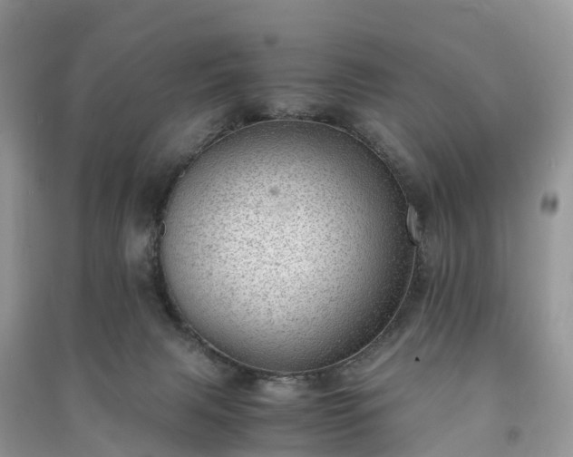 X0000091010079200708091610