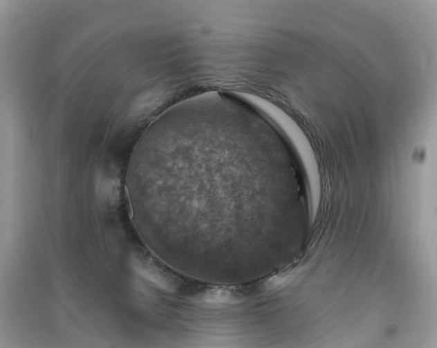 X0000091010080200708091610