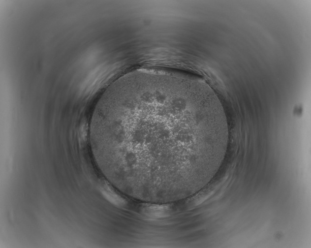 X0000091010081200708091610