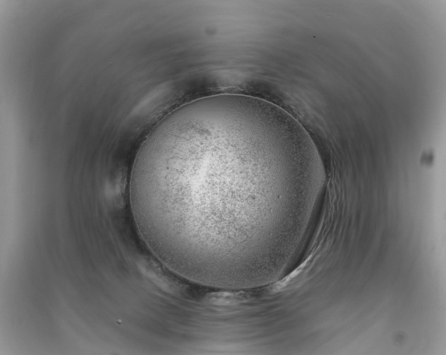 X0000091010082200708091610