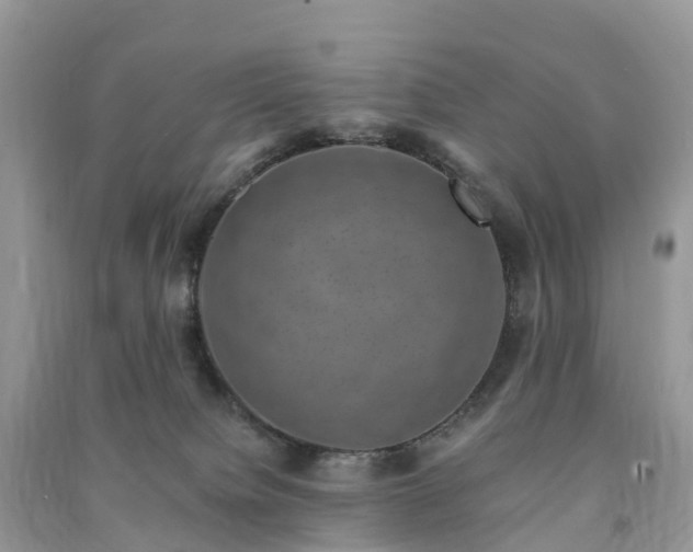 X0000091010084200708091610