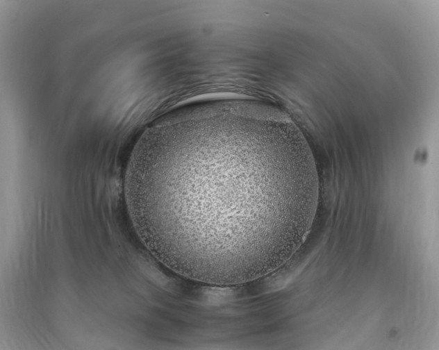 X0000091010085200708091610