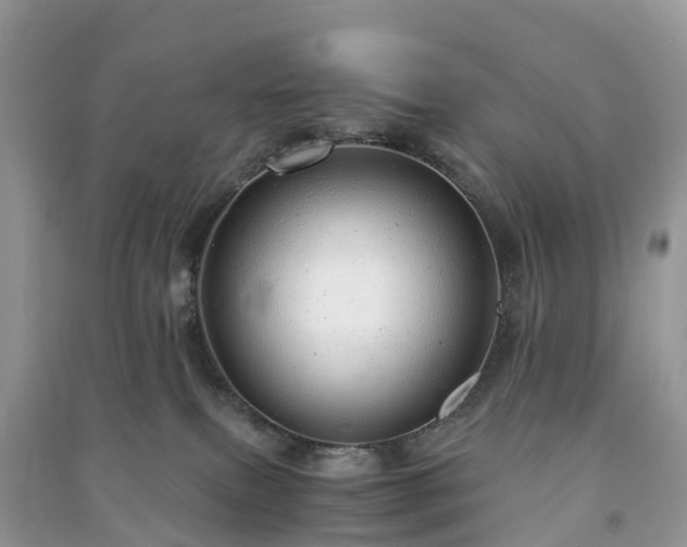 X0000091010087200708091610
