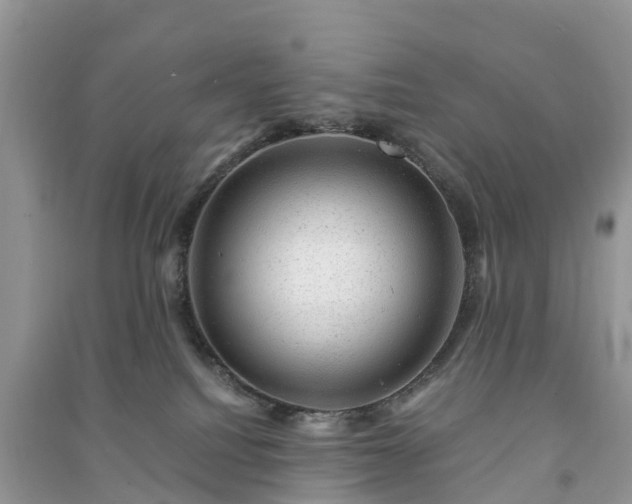 X0000091010088200708091610