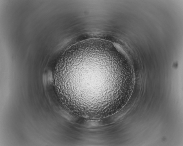 X0000091010089200708091610