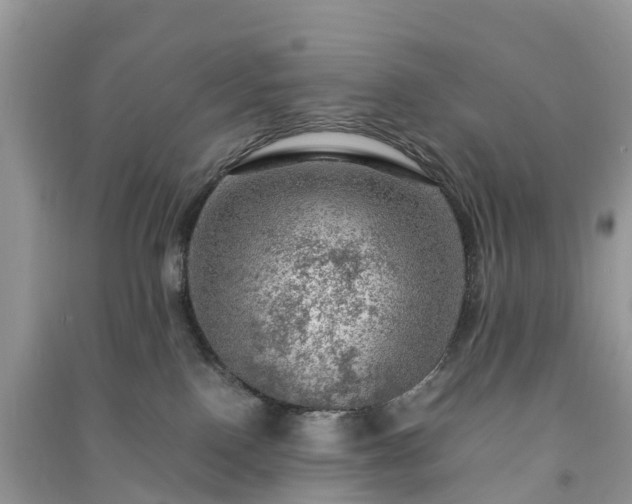 X0000091010090200708091610