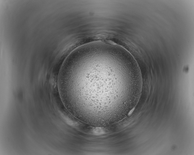X0000091010091200708091610