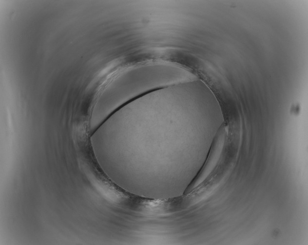 X0000091010092200708091610