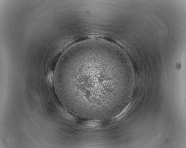 X0000091010094200708091611