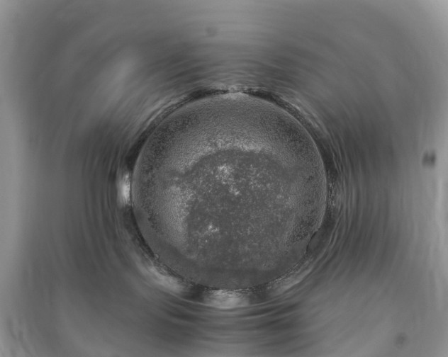 X0000091010095200708091611