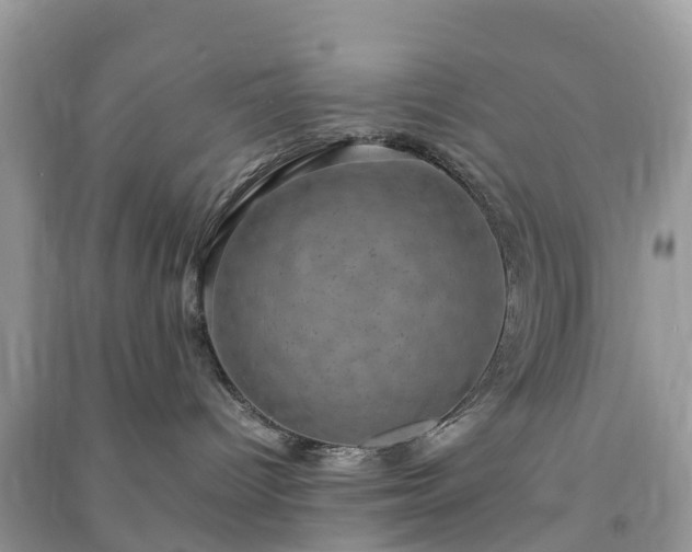 X0000091010096200708091611
