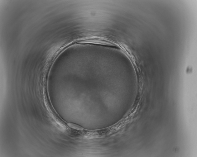 X0000091010097200708091610